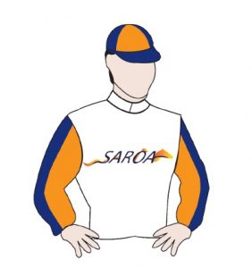 SAROA colours