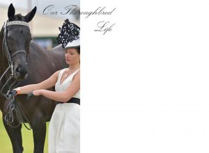 our-thoroughbred-life